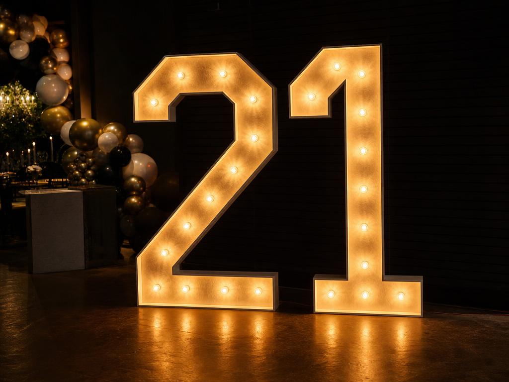 Marquee Light Up Numbers